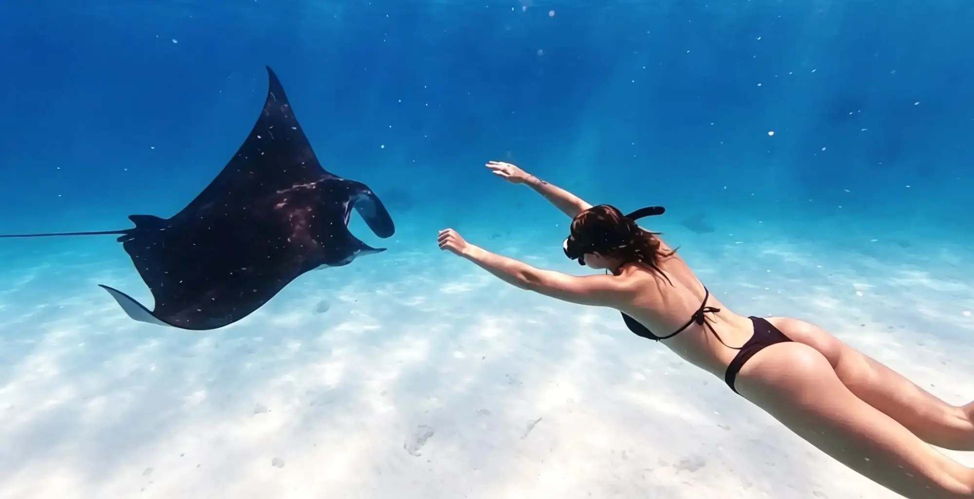 A freediver meeting a manta ray in open water off Ukulhas
