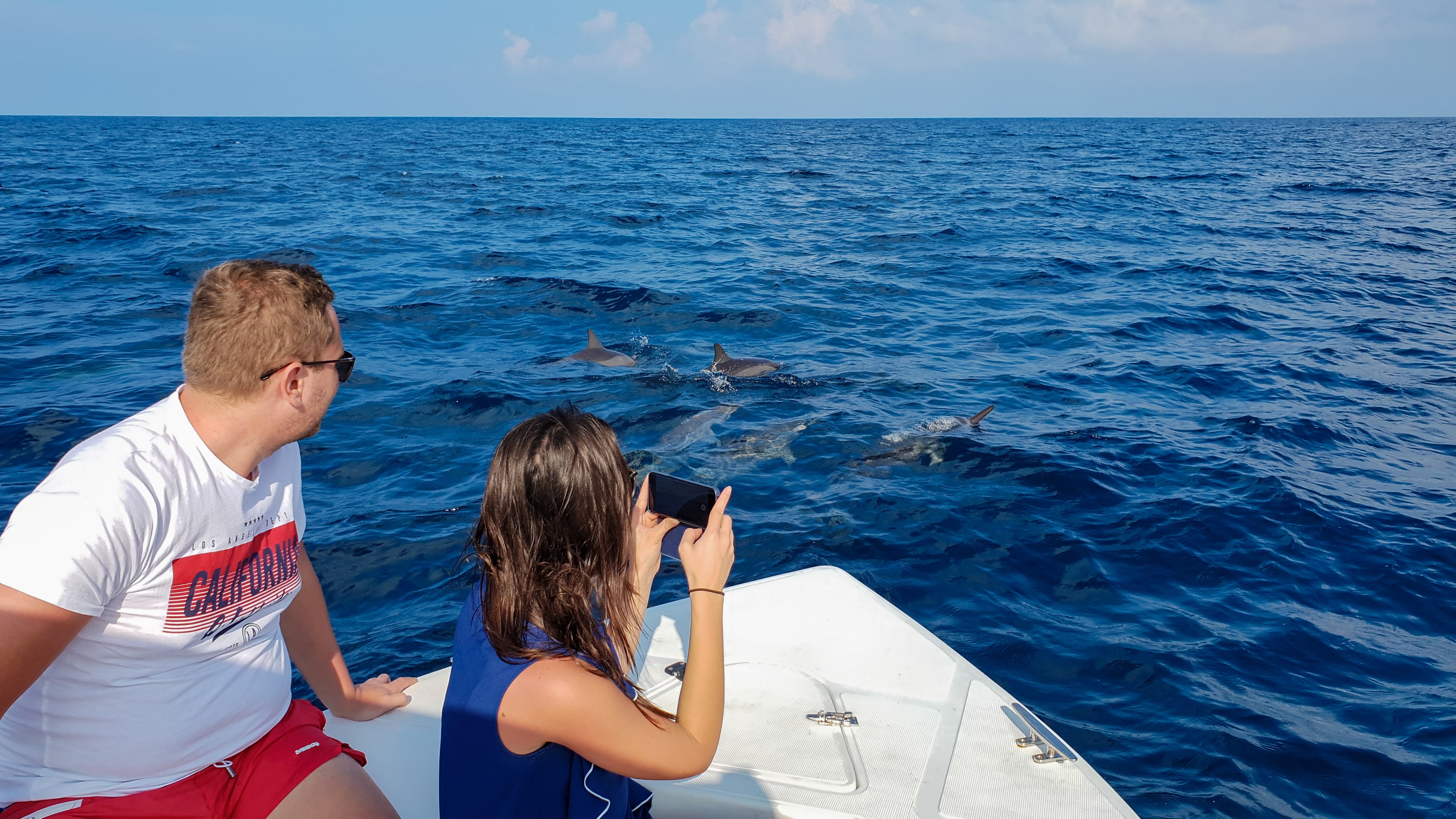 Guests watching dolphins from a boat near Ukulhas