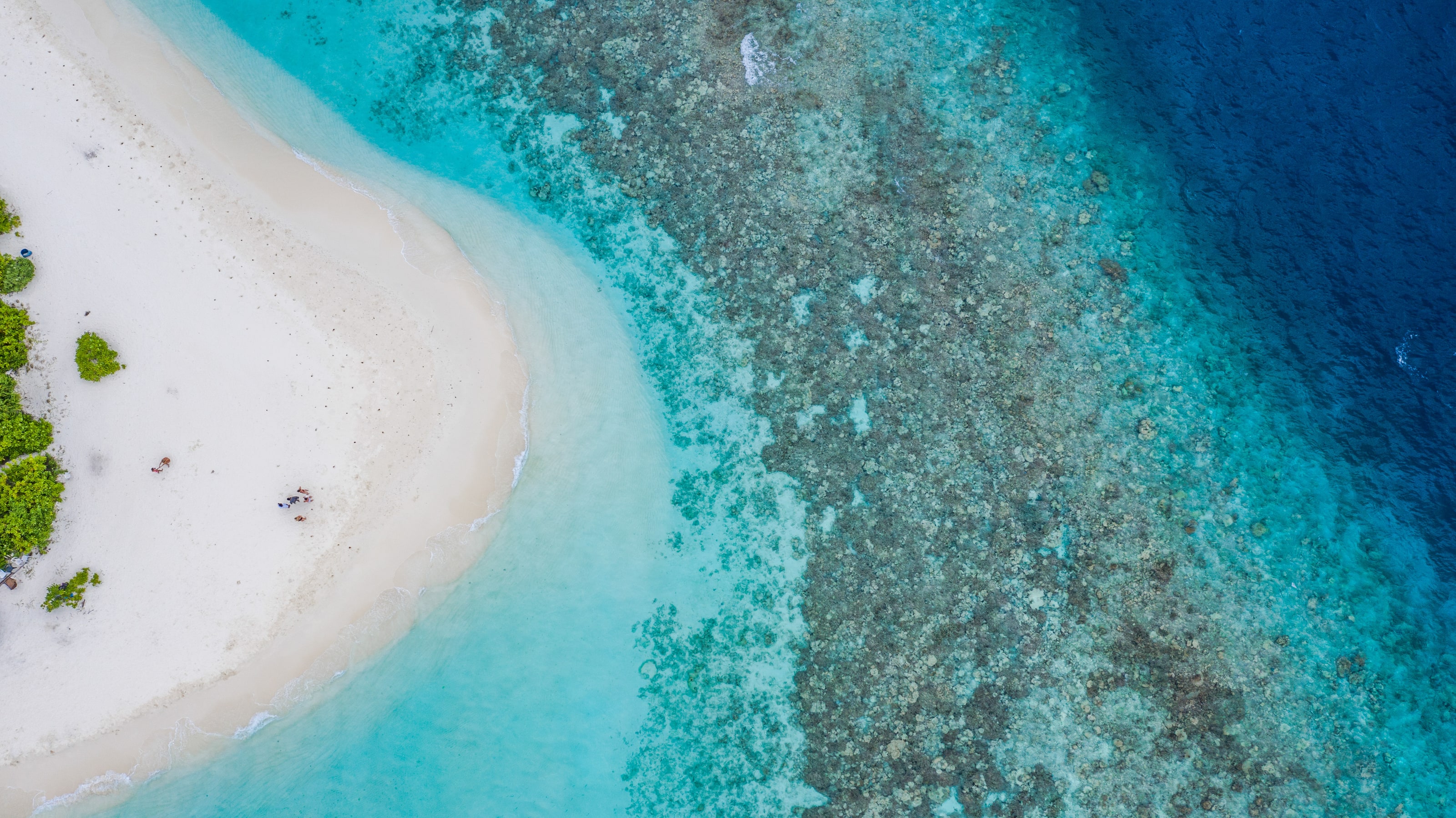 The reef off Ukulhas, where the direct-guest diving privilege applies